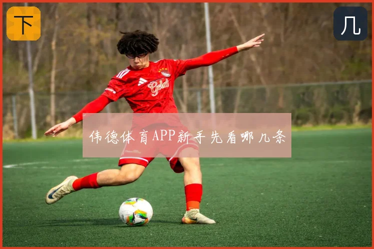 伟德体育APP新手先看哪几条
